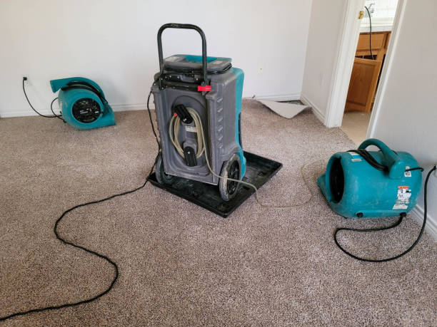  Casselberry, FL Water damage restoration Pros