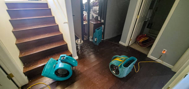Best Flooded house restoration  in Casselberry, FL