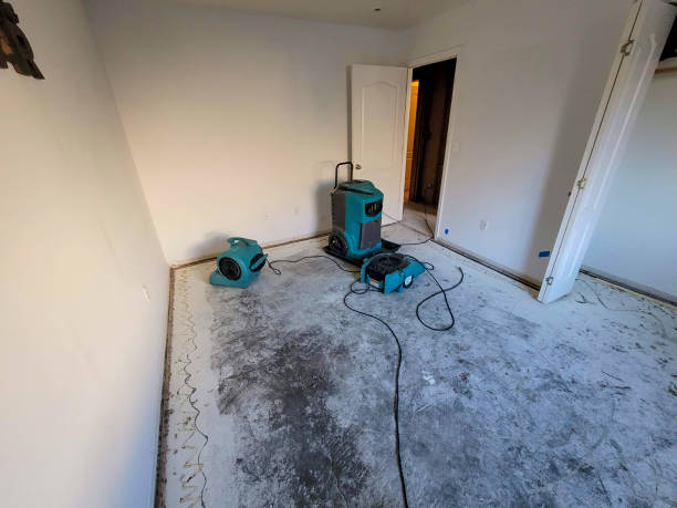 Best Local water damage restoration  in Casselberry, FL