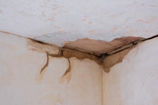 Best Flood restoration services  in Casselberry, FL