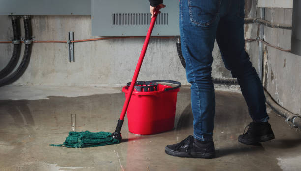 Best 24-hour water damage restoration  in Casselberry, FL