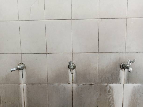 Best Water damage restoration process  in Casselberry, FL