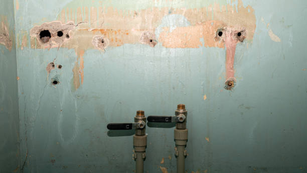 Best Professional water damage repair  in Casselberry, FL