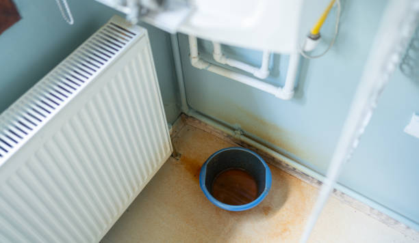 Best Mold removal after water damage  in Casselberry, FL