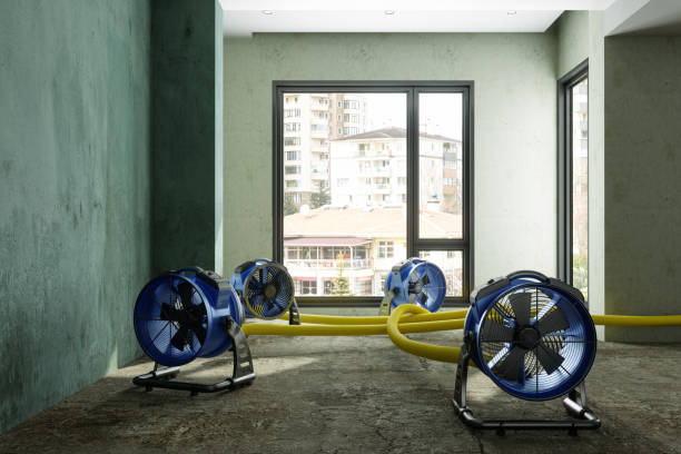 Best Fire Damage Restoration  in Casselberry, FL